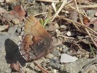 DSCN1459.jpg