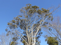 DSCN1569.JPG