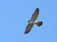 DSCN1571.JPG