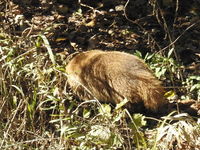 DSCN1623.JPG