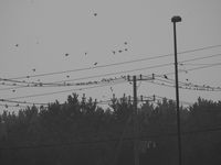 DSCN1666.jpg