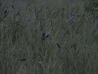 DSCN1683.jpg