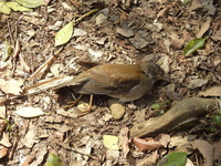 DSCN1722.JPG