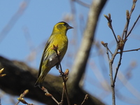 DSCN1733.JPG