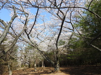 DSCN1736.JPG