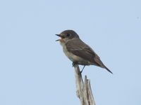DSCN1821.JPG