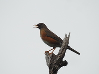DSCN1881.JPG