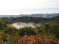 DSCN1893.JPG