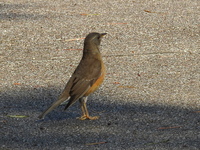 DSCN1901.JPG