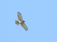 DSCN1909.JPG