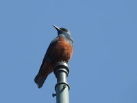 DSCN1921.JPG
