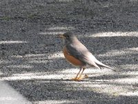 DSCN1950.JPG