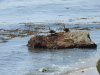 DSCN1955.JPG