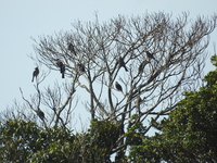 DSCN2040.JPG