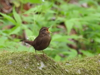 DSCN2060.JPG