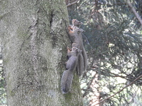 DSCN2078.JPG