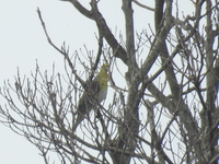 DSCN2088.JPG