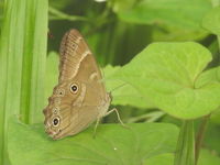 DSCN2109.JPG