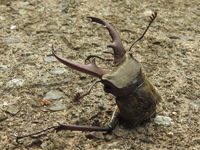 DSCN2156.JPG