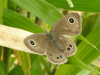 DSCN2157.JPG
