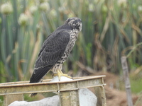 DSCN2168.JPG