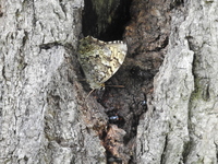 DSCN2194.JPG