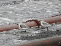 DSCN2210.JPG