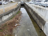 DSCN2227.JPG