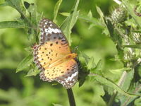 DSCN2238.JPG