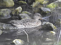 DSCN2269.JPG