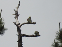 DSCN2279.JPG