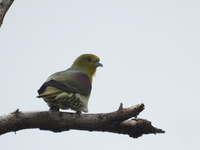 DSCN2292.JPG