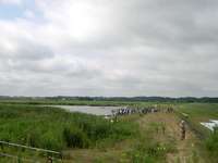 DSCN2344.jpg