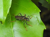 DSCN2354.JPG