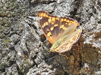 DSCN2398.JPG
