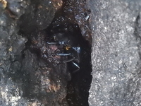 DSCN2408.JPG
