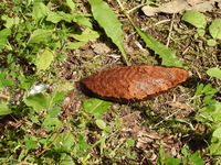 DSCN2466.JPG