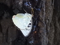 DSCN2488.JPG