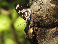 DSCN2492.JPG