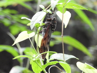 DSCN2506.JPG