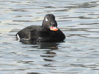 DSCN2510.JPG