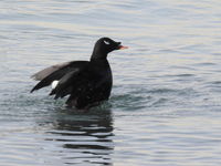 DSCN2514.JPG