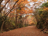 DSCN2639.JPG