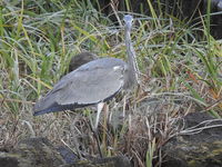 DSCN2671.JPG