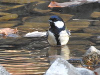 DSCN2684.JPG