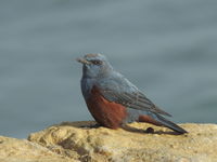 DSCN2714.JPG