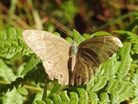 DSCN2720.JPG