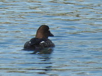 DSCN2759.JPG