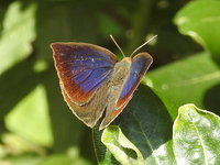 DSCN2793.JPG