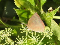 DSCN2798.JPG